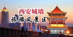 大鸡鸡插入hd中国陕西-西安城墙旅游风景区